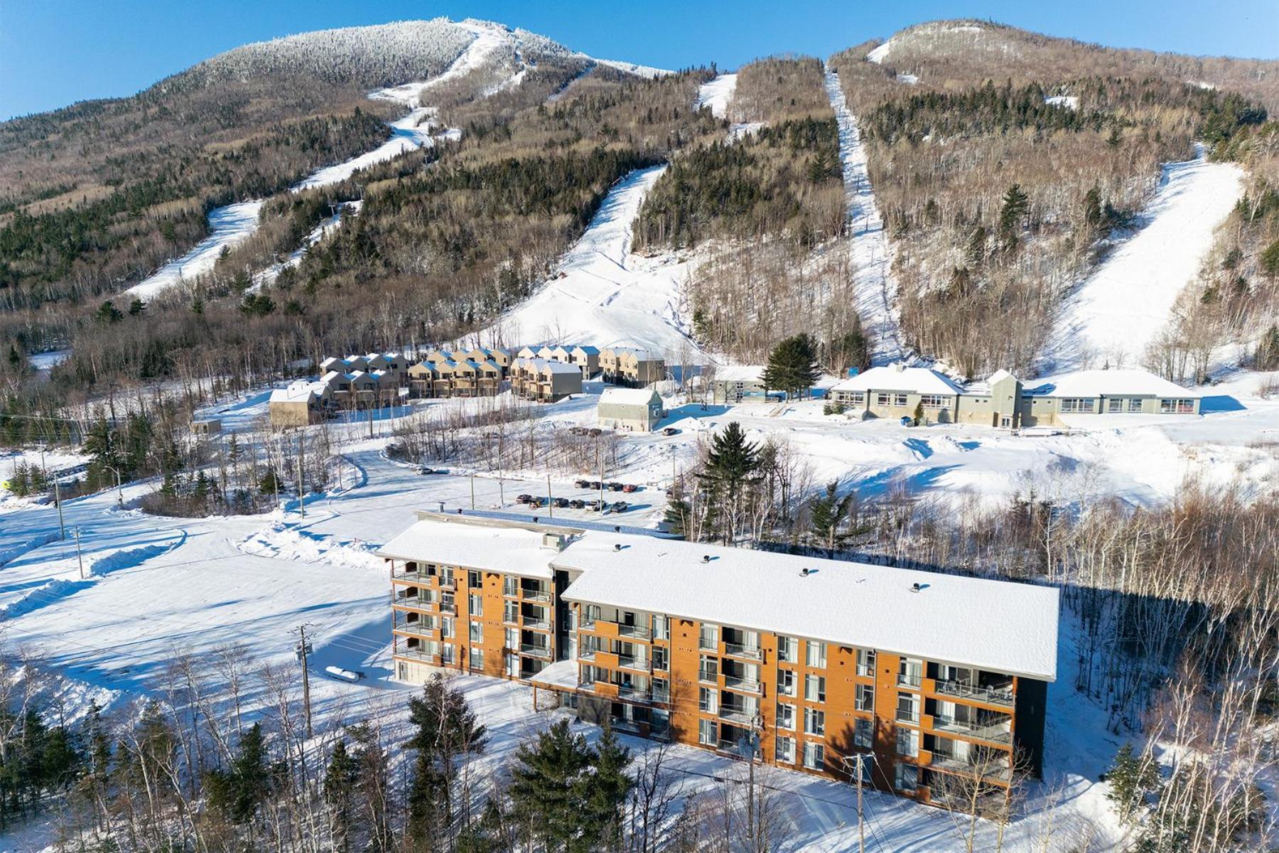 Les Appartements Du Massif De Charlevoix Petite-Riviere-Saint-Francois Buitenkant foto