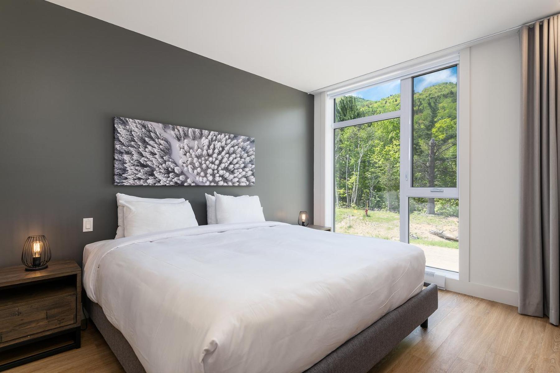 Les Appartements Du Massif De Charlevoix Petite-Riviere-Saint-Francois Kamer foto