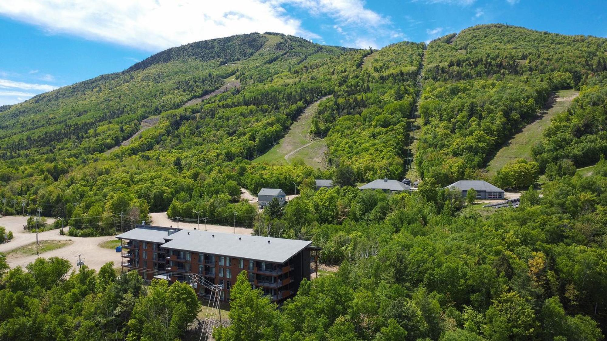 Les Appartements Du Massif De Charlevoix Petite-Riviere-Saint-Francois Buitenkant foto