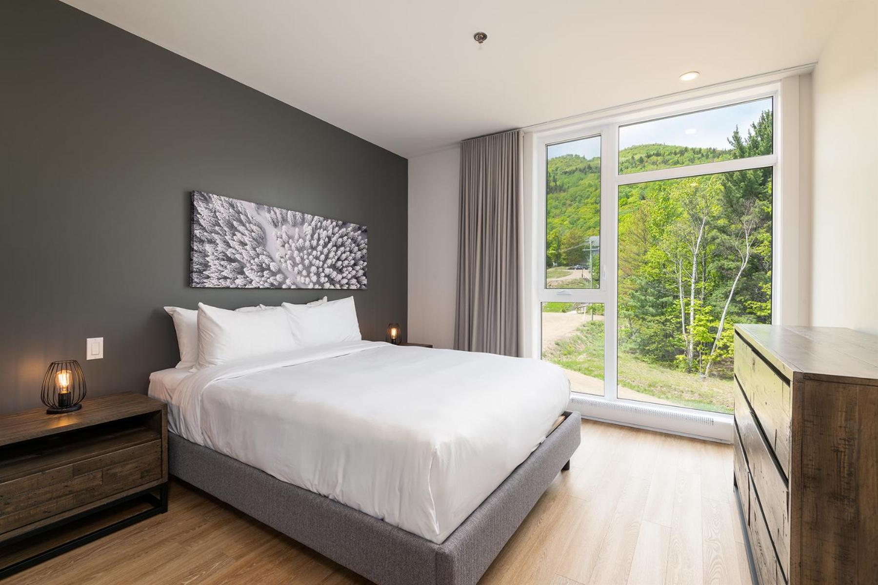 Les Appartements Du Massif De Charlevoix Petite-Riviere-Saint-Francois Kamer foto