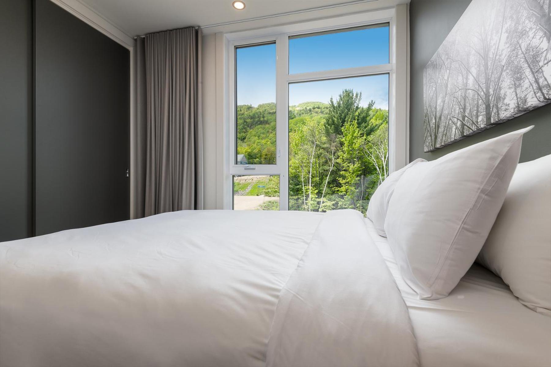 Les Appartements Du Massif De Charlevoix Petite-Riviere-Saint-Francois Buitenkant foto